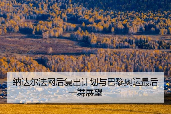 na-da-er-fa-wang-hou-fu-chu-ji-hua-yu-ba-li-ao-yun-zui-hou-yi-wu-zhan-wang-2-745.jpg