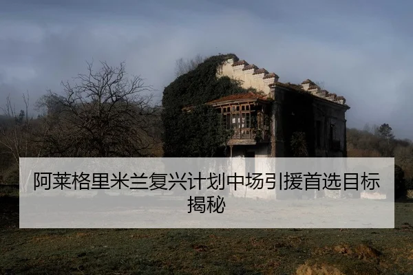 a-lai-ge-li-mi-lan-fu-xing-ji-hua-zhong-chang-yin-yuan-shou-xuan-mu-biao-jie-mi-2-614.jpg