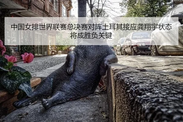 中国女排世界联赛总决赛对阵土耳其接应龚翔宇状态将成胜负关键